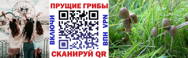 Псилоцибиновые грибы Magic Shrooms  Макушино 